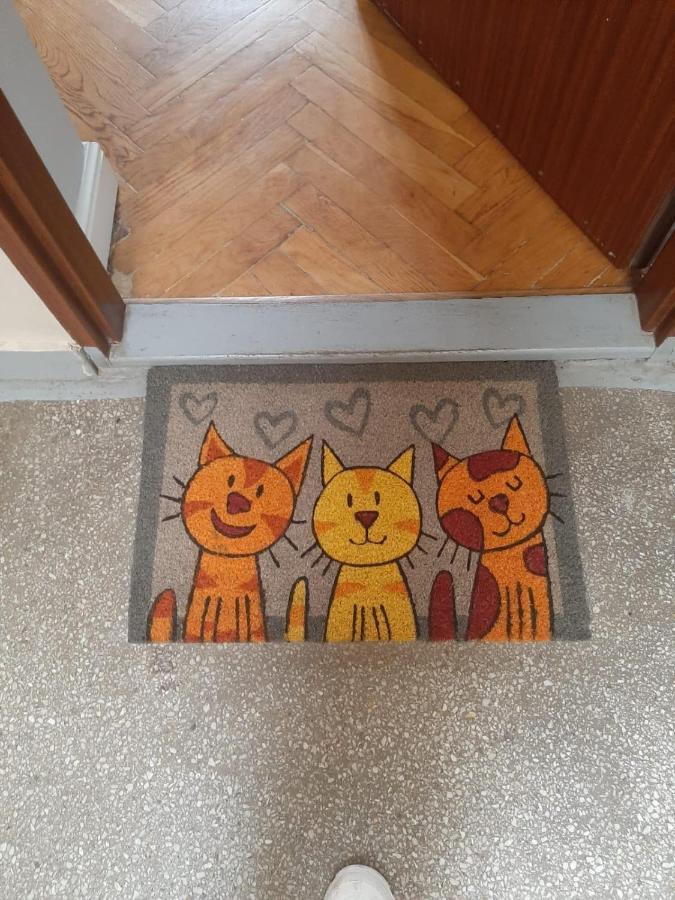 Apartament Koci Leb Stary Toruń 外观 照片