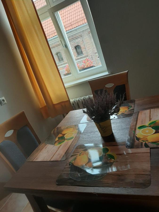 Apartament Koci Leb Stary Toruń 外观 照片