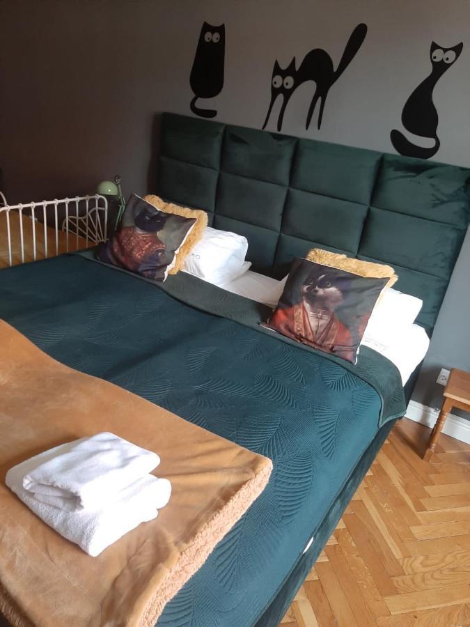 Apartament Koci Leb Stary Toruń 外观 照片